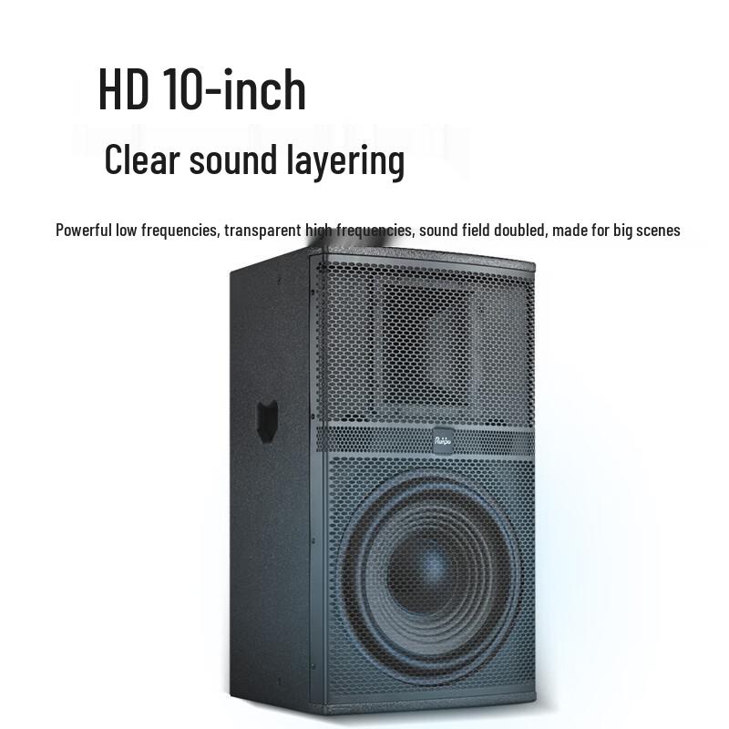 Runpu Professional Dual 10-inch Passive Conference Speaker (CN version)