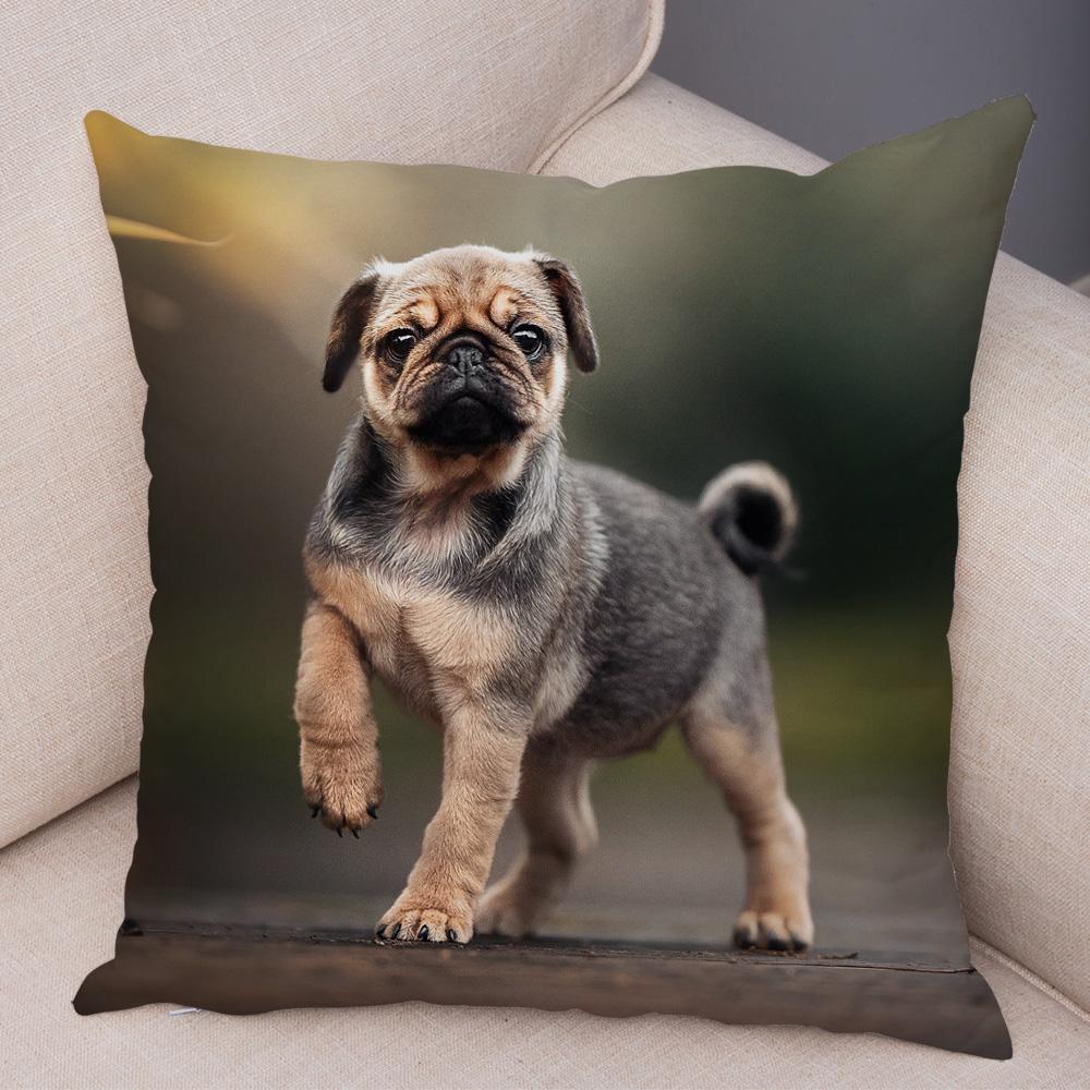 Cute Pug Dog Cushion Cover Both Sided Print Decor Pet Animal Pillowcase for Car Sofa Home Car Soft Plush Throw Pillow Case