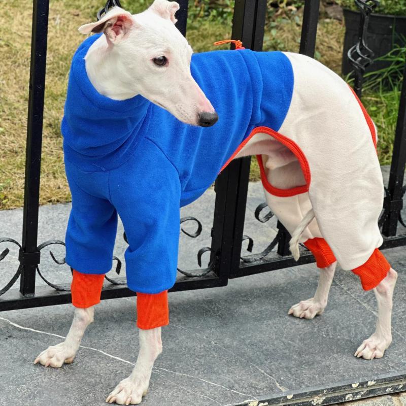 

Winter Dog Coats Greyhound Thick Ollie Fleece Stretch Quad Suit Autumn Keep Warm Dog Clothes Puppy Four Legged Clothes Products S