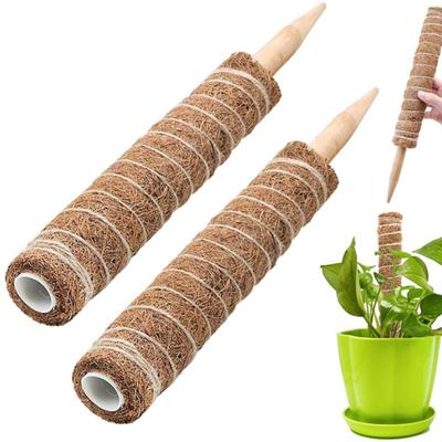 Poste de planta trepadora para interiores, práctico palo de musgo de fibra de coco, soporte para plantas trepadoras