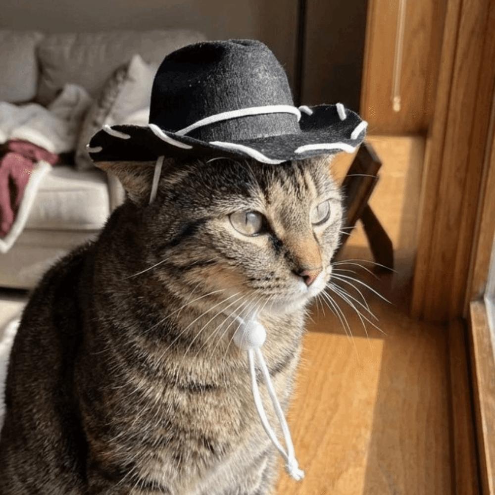 Adjustable Dog Cowboy Hat Breathable Cat Sunscreen Hat Dog Fisherman Hat Dog Visor Cat  Pet Party