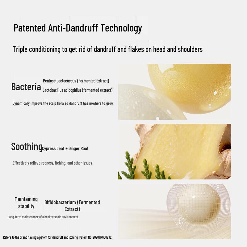 Changfa Xiaozhai Men's Red Yao Rice Water Shampoo