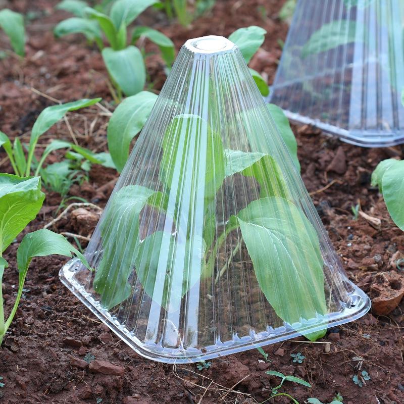 10/20pcs Conical Plant Insulation Cover Seeding Nursery Cover Anti Birds Windproof Shade Cover Greenhouse Seeding Cover