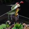 Transparent Aquarium Planting Basket Hanging Aquatic Plant Holder  Landscaping
