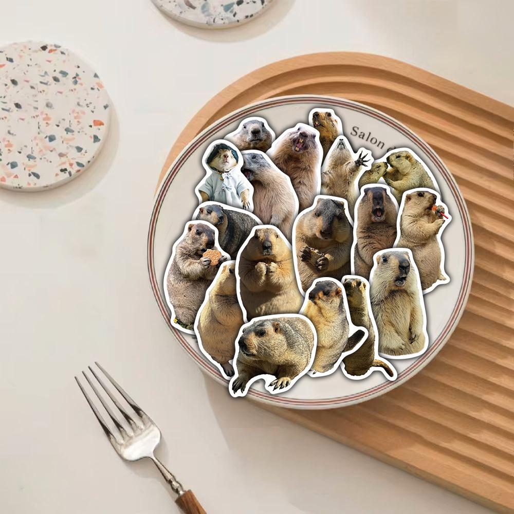 50PCS Groundhog Sticker Harajuku Guitar Phone Cafe Art Aesthetic Landscape Watercolor Laptop Luggage Wall Art Suitcase Decals