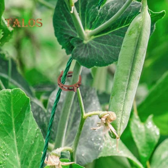 Morsetti per piante rampicanti Clip di supporto per piante in plastica di lunga durata, supporto per piante da giardino, supporto multifunzionale per fissaggio steli di vite