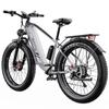 Elektrische Fiets DUOTTS F26 750Wx2 Motor LCD Display 48V 20AH 26" Fat Tire Elektrische Fiets Voor Volwassene Topsnelheid 50Km/u Grijs