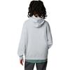 Converse Go-To Star Chevron Loose Fit Pullover Hoodie Asia Sizing 'Grey' Men's 10024915-A03