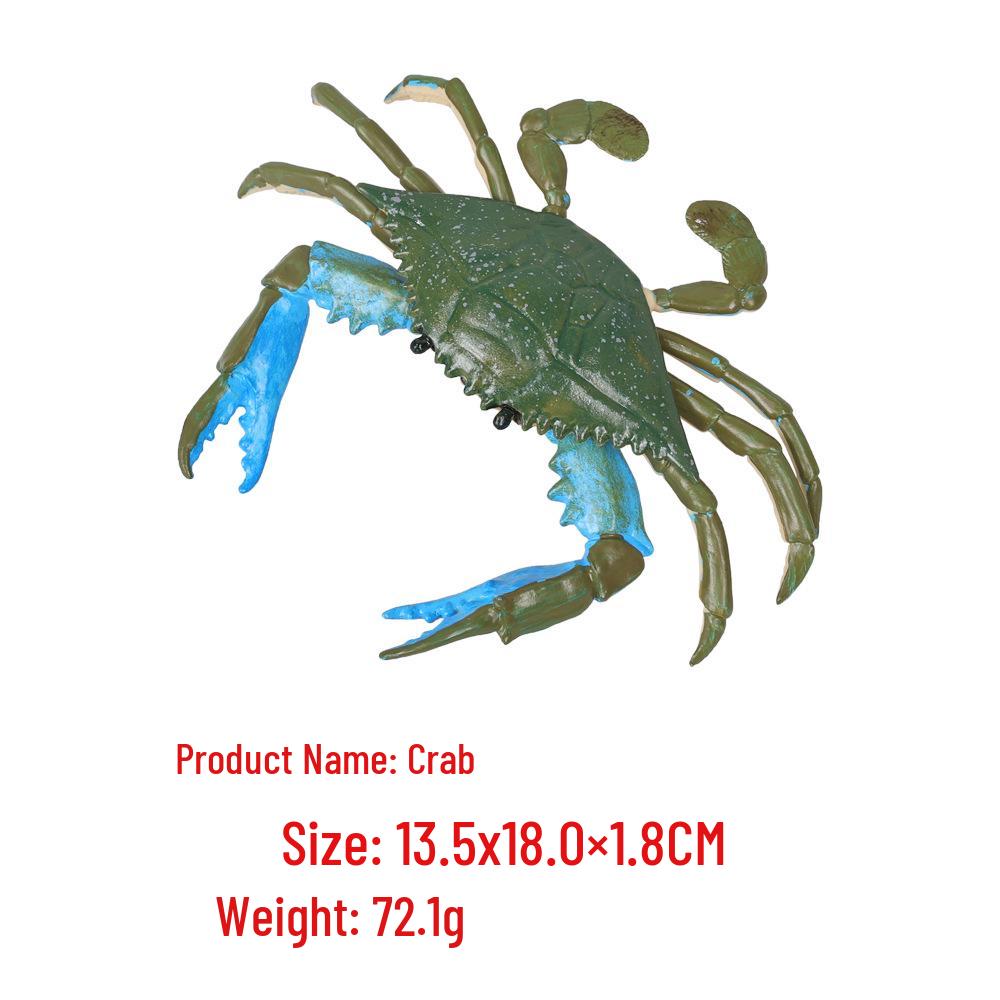 "Wildes Meerestier Simulationsmodell": Kinder Bildungs-Heimdeko-Spielzeug"