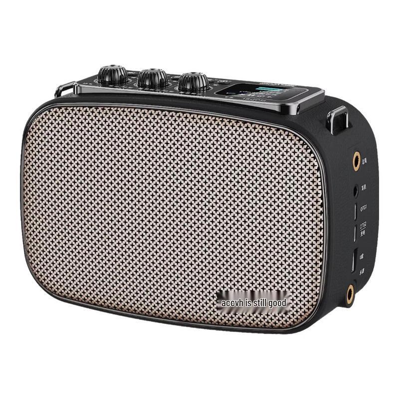 Shanghao S4 Portable Musical Instrument Amplifier (CN version)