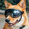Haustier-Sonnenbrille Verstellbar Anti-UV-Blendung Winddicht Sonnenbrille für Hunde Outdoor Wandern Laufen Strand Alle Rassen Augenschutz Schwarz