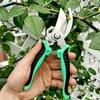 Garden Pruning Shears: Flower, Fruit Tree, and Bamboo Trimming