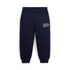Polo Kids Boys Logo Fleece Jogger Pants 2 7 Years  Cwpopntbbq20200410 