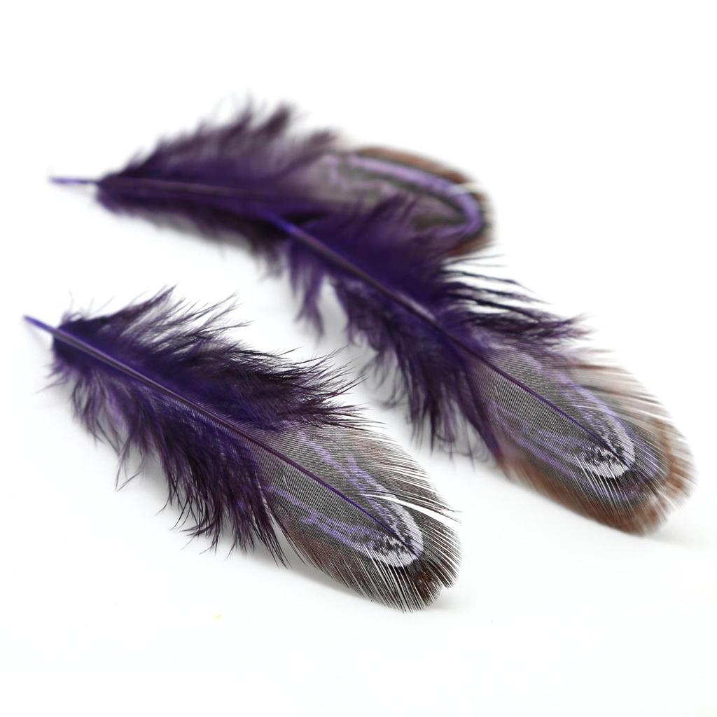 50Pcs 4-8cm Rare Precious DIY Wedding Party Decorative Multi-colour Pheasant Plume Feather Natural Feathers for Home Decoration