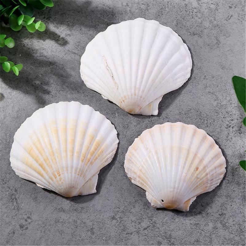 Víceúčelové balení 10 velkých přírodních mušlí hřebenatek pro řemeslné potřeby, stylový šperkový doplněk a dekorace do domácnosti