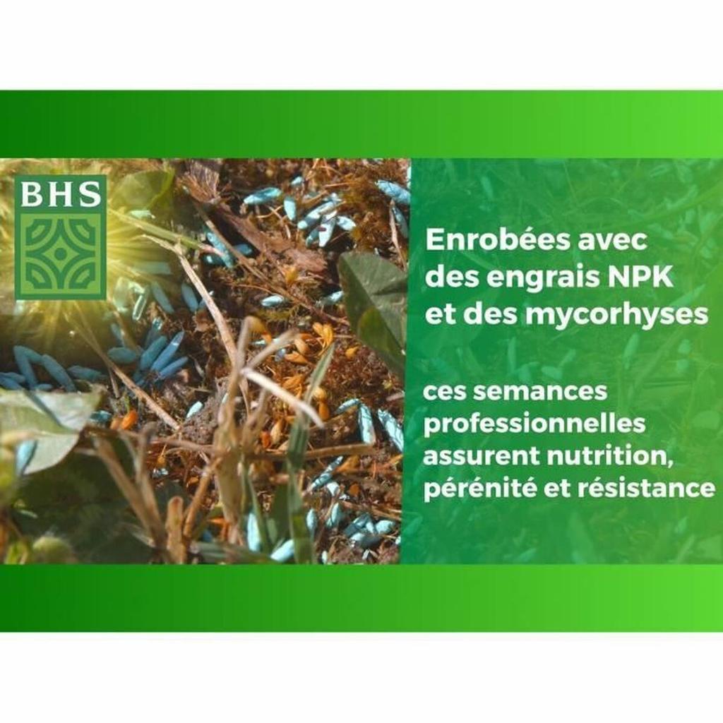 Seeds BHS 3 Kg