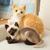 Tabby Cat Cute Animal Plush Doll Big Eyes Siamese Cat Pillow Lying Down Cat Plush Toy  Children