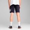 Puma Men's Knit Sport Shorts 687528