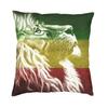 Lion Of Judah Rasta Jamaican Reggae Cushion Cover 45x45cm Home Decor Printing Throw Pillow for Living Room Doublesided
