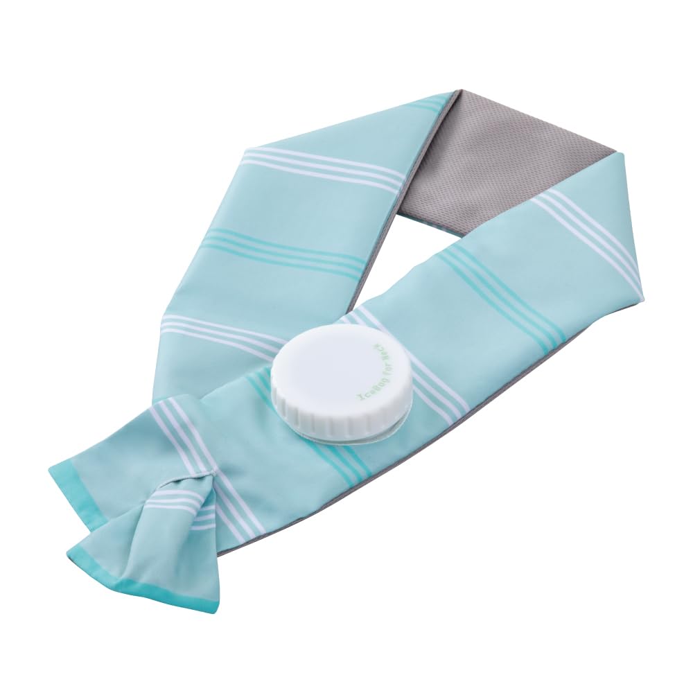 Alphax Neck Cooling Ice Mint Pack,