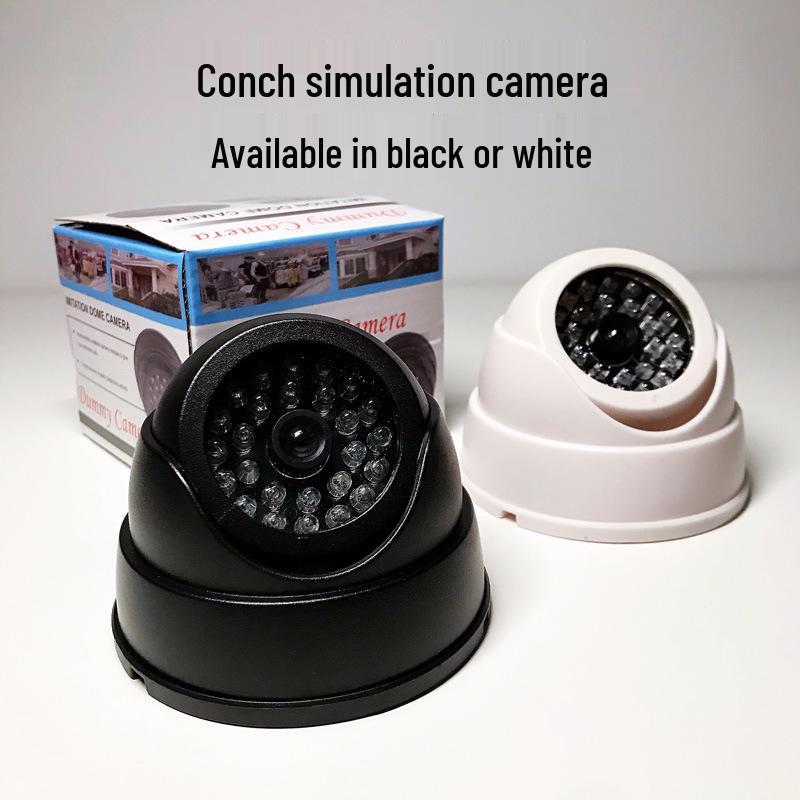 Simulated Snail Camera: Realistic Fake Monitoring Model