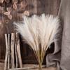 10 Units/Lot 55cm Cute Decoration Fake Flower Reed Plant Simulated Artificial Christmas Wedding Party Fluffy Reed Grass