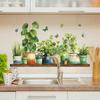 Painted Green Plant Potted Plants and Butterfly Stickers for Wall Decoration and Beautification In Dining Rooms, Bathrooms and Homes
