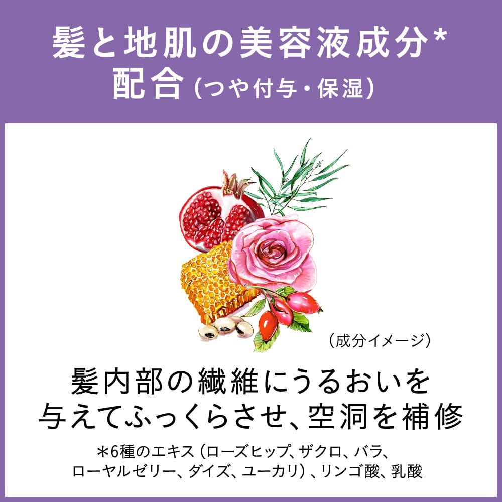 Segreta Shampoo Pump 430ml