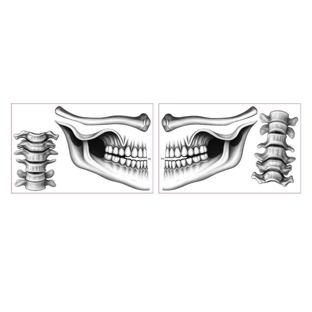 2pcs Disposable Halloween Face Tattoo Waterproof Skull Temporary Sticker Mouth Clown Tattoo  Men