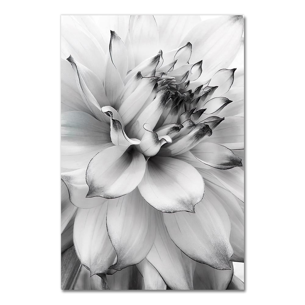 Posters Black And White Flower Print Fresh Wall Art Feather Dandelion Pictures Canvas Living Room Decoration Wall Paintings