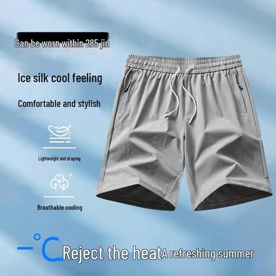 Men's Plus Size Ice Silk Quick-Dry Shorts