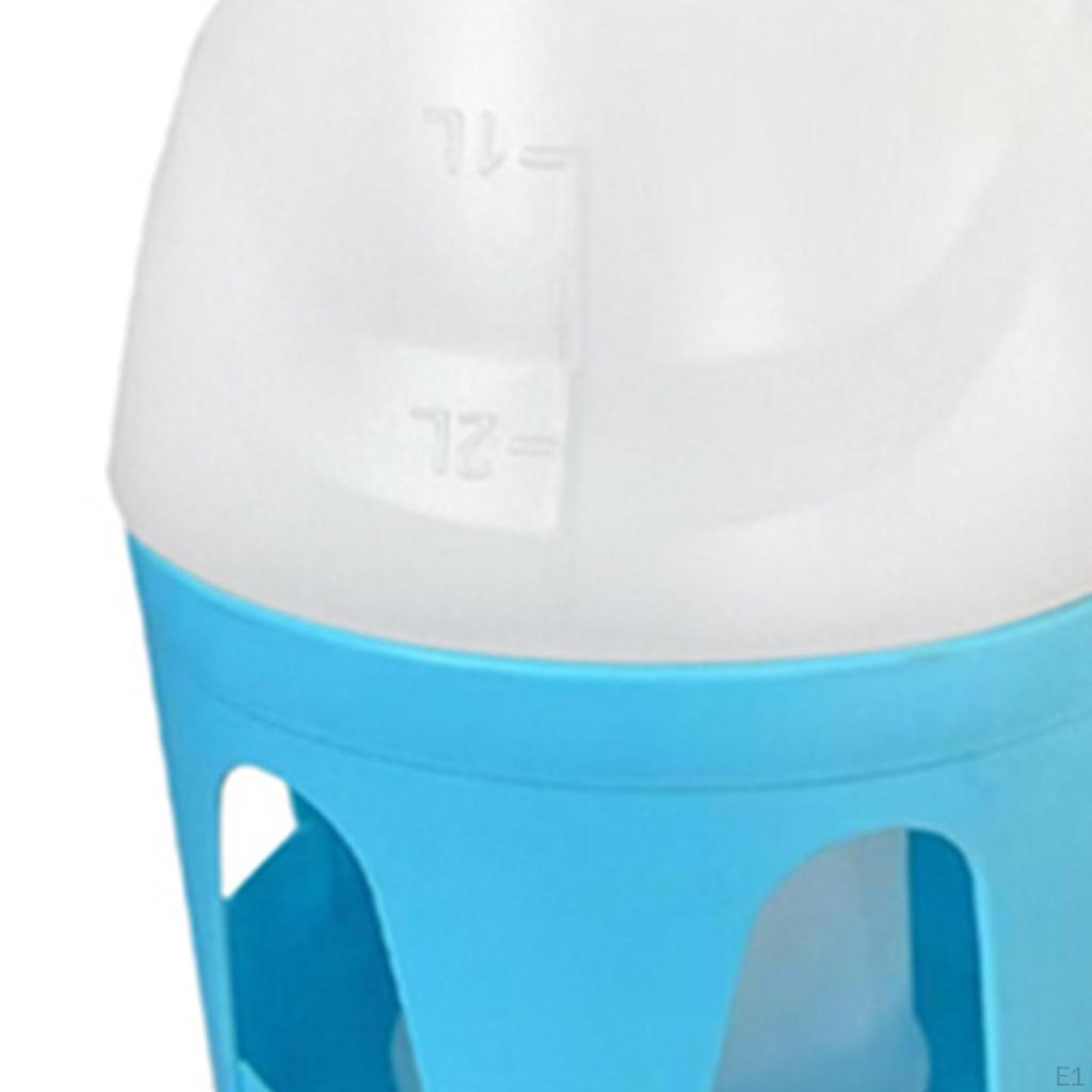 Pigeon Water Dispenser Bird Feeder Automatic, Hanging Drinker, Pot Container for