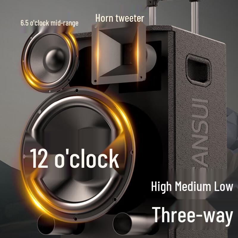 Sansui SG3-12 Outdoor Karaoke Portable Trolley Bluetooth Speaker