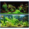 25pcs Quick-drying Aquascape- Water Plant Safe for Coral Stable Gel- Landscaping Instant-Glue
