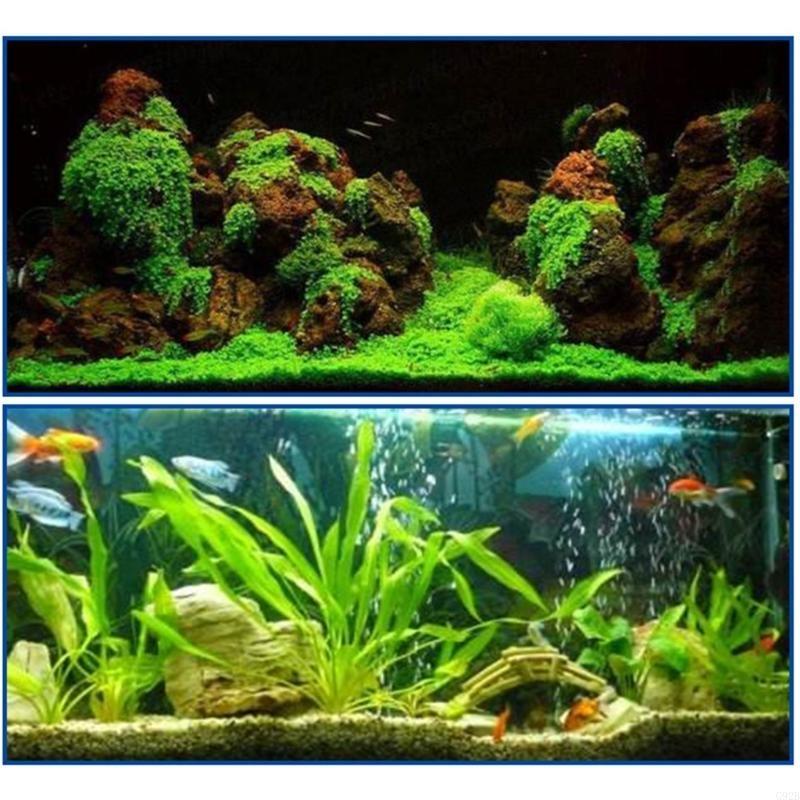 25pcs Quick-drying Aquascape- Water Plant Safe for Coral Stable Gel- Landscaping Instant-Glue