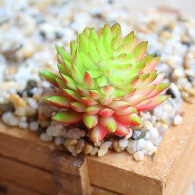 Kunststoff Echeveria Blume zur Dekoration für Zuhause und Büro Künstliche Sukkulente