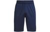 Shorts Men's Collegiate Blue 1361511-408