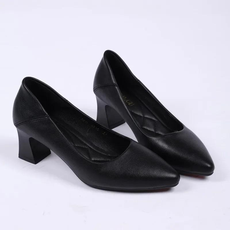 2024 New Fashion Women's Shoes Thick Heels Spring and Autumn Shoes for Outerwear Professional Commuting Pointed Toes Zapatos