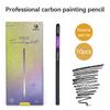 10/12pcs Charcoal Pencil Drawing Sketching Shading Professional Extra Soft/Medium/Hard for Artists Adult Art Graphite Pencil Set