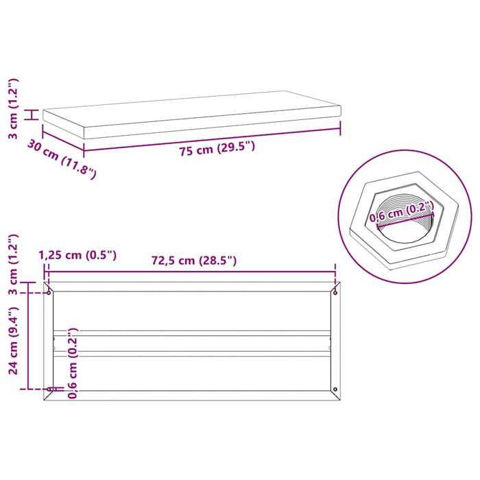VidaXL Étagères murales 2 pcs 75x30x3 cm argenté acier inoxydable, étagère flottante, étagère murale d'exposition, panneau 30282