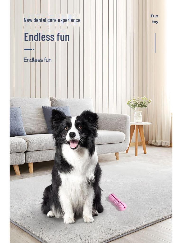 Natural Rubber Interactive Dog Toy for Teeth Grinding and Food Dispensing