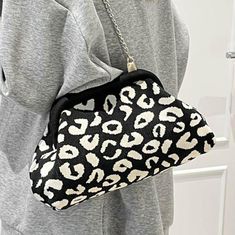 Autumn New Chain Leopard Print Bag Trendy Personalized Women's Bag Texture Women's Casual Shoulder Messenger Bag