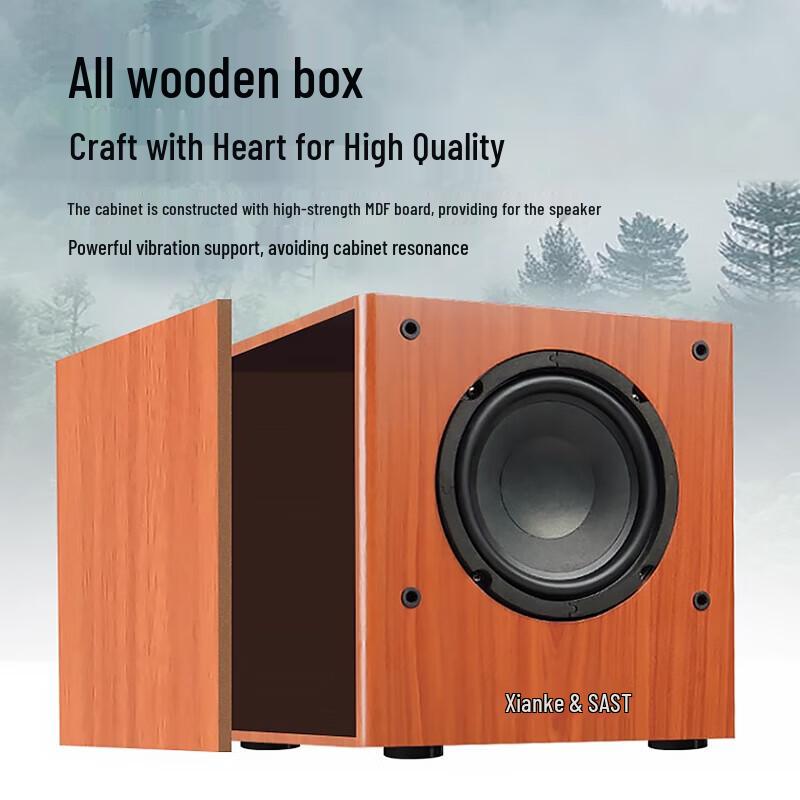 SAST SA-6606 Home KTV Bluetooth Speaker System CN Plug (adapter Included)