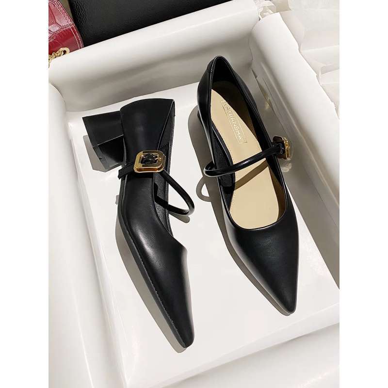 Xiaoxiangfeng Mary Jane thick-heeled single shoes women's 2025 new pointed French retro soft leather one-word with high heels