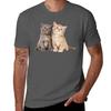 Cute Kittens Tshirt Thanksgiving Casual Tee