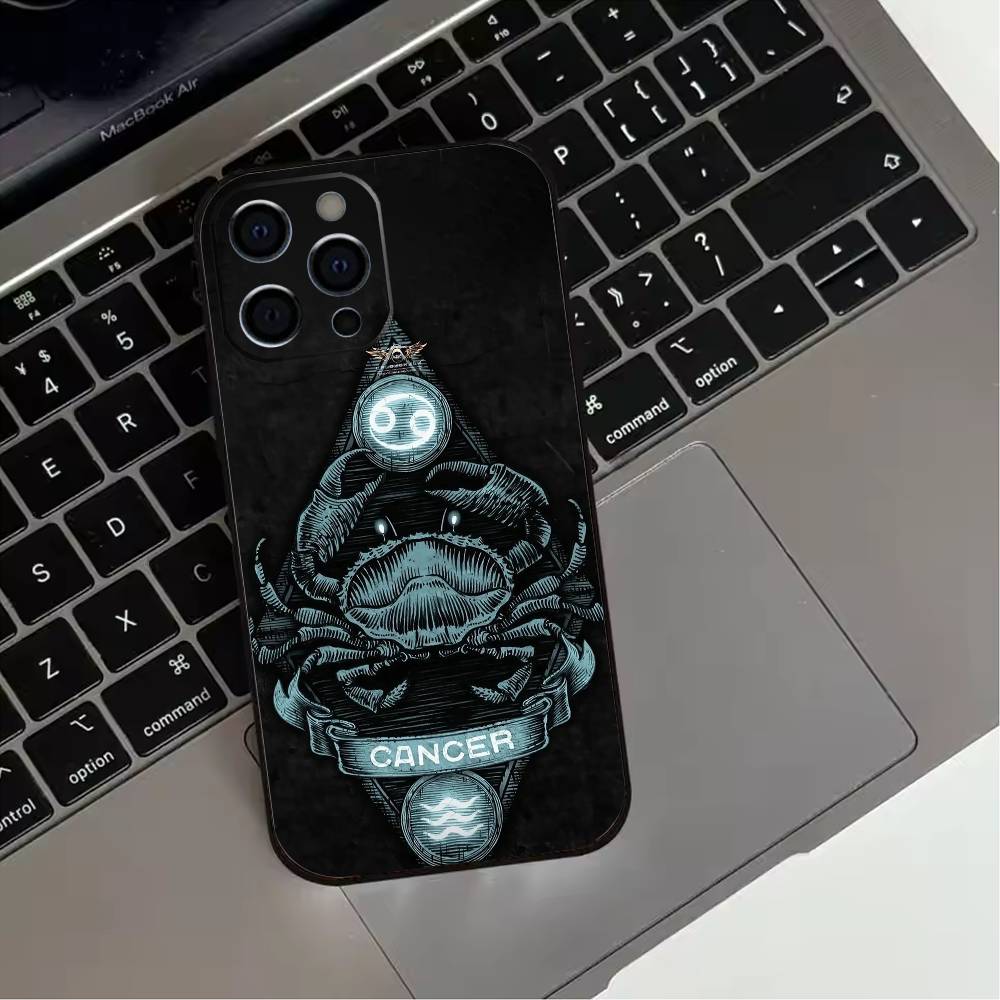 Twelve zodiac signs Phone Case For iPhone 17,16,15,14,13,12,11 Plus,Pro Max,XS,Soft Silicone Black Cover