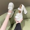 Autumn Single Shoes Thick Sole Thin Bow High Heel Mary Jane Shoes Sweet Cool Small JK Girlish Feeling Heightened Leather Shoes