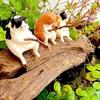 Fishing Cat Ornaments Aquarium Decoration Fish Landscaping Cartoon Cat Statue Mini Resin Figurine Home Decorations Miniatures
