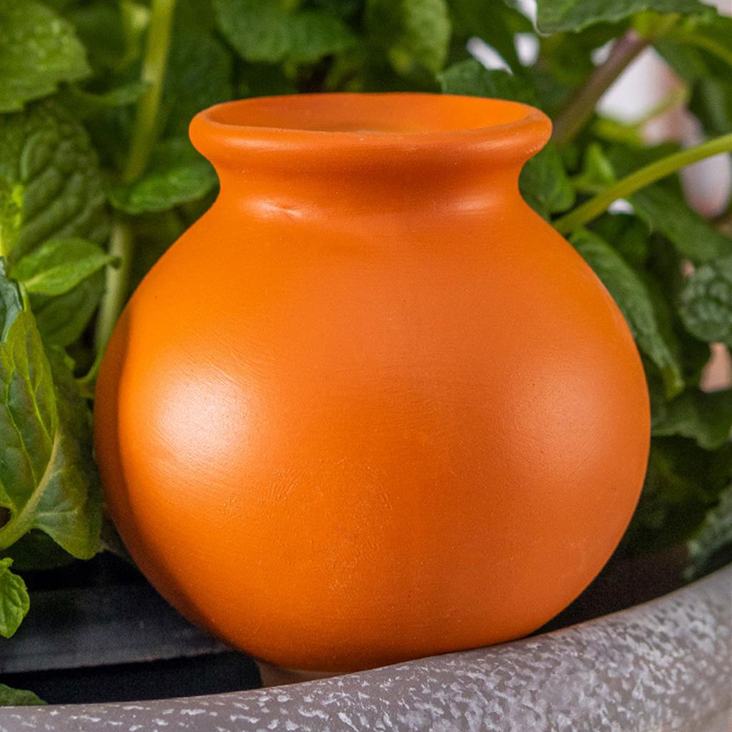 4Pcs Small Wine Bottle Automatic Plant Dripper Self Watering Irrigation Device for Garden Yard Plant Lawn Flower