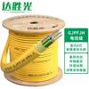 Dasheng Light Indoor Single-mode Aramid Fiber Optic Cable